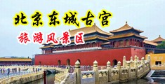 强奸视频黄片浪叫中国北京-东城古宫旅游风景区
